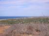 Photo of Lots/Land For sale in Todos Santos, Baja California Sur, Mexico - La Poza